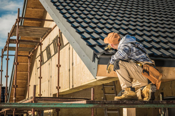 Roof Gutter Cleaning in Westfield, IN