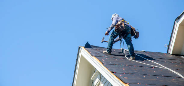 Roof Gutter Cleaning in Westfield, IN